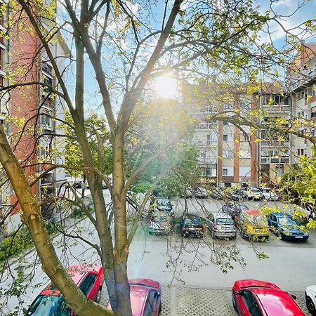 Apartman Jelena Lägenhet Sremska Mitrovica Exteriör bild